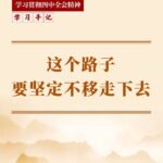 学习手记｜这个路子要坚定不移走下去