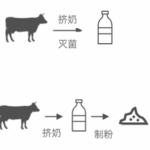 中老年人补钙：牛奶好还是奶粉更好