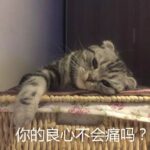 孩子因呛奶窒息，住进新生儿重症监护室，月子中心该赔偿吗？