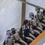 蔡昉：国考打破年龄上限，释放双重导向