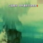 日本核爆受害者团体：强烈抗议高市考虑修改“无核三原则”