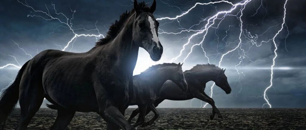 AI题材爆发，龙头股封单一度超200万手！量子科技加速突破，机构紧盯这些概念股