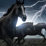 AI题材爆发，龙头股封单一度超200万手！量子科技加速突破，机构紧盯这些概念股