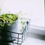 原创|为什么生病了，要尽量隐瞒，别让外人知道？看完就明白了