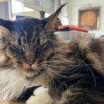 每周星座运势（11月24号-11月30号）