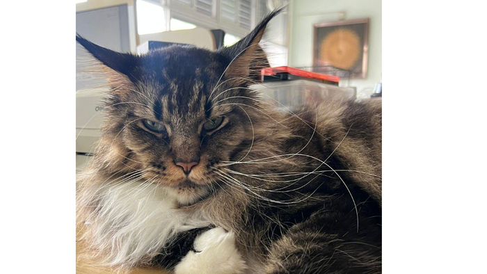 每周星座运势（11月24号-11月30号）