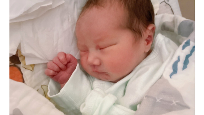 每天5分钟，宝宝的大脑，发育一天比一天好