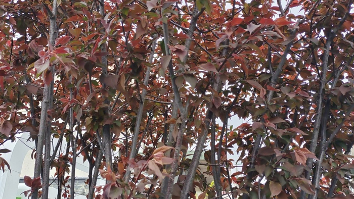 老人带娃，最佳“退出时间”是这3个阶段，别等到矛盾加深才后悔