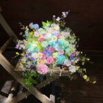 水逆影响日解析上升星座太阳星座近期运势