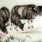 上半年一帆风顺，事业进步飞速，有福气更有贵人帮忙的生肖