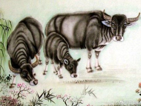 上半年一帆风顺，事业进步飞速，有福气更有贵人帮忙的生肖