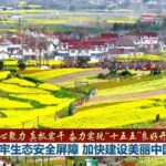 【凝心聚力 真抓实干 奋力实现“十五五”良好开局】筑牢生态安全屏障 加快建设美丽中国