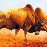 人生路上贵人不少，42岁后得以翻身，有望提前退休金钱自由的生肖