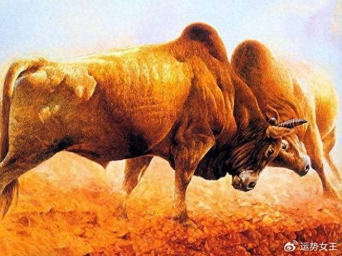 人生路上贵人不少，42岁后得以翻身，有望提前退休金钱自由的生肖