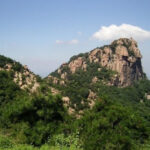 今年绝非劳碌命，事业和生意越做越成功的四种星座，福气大