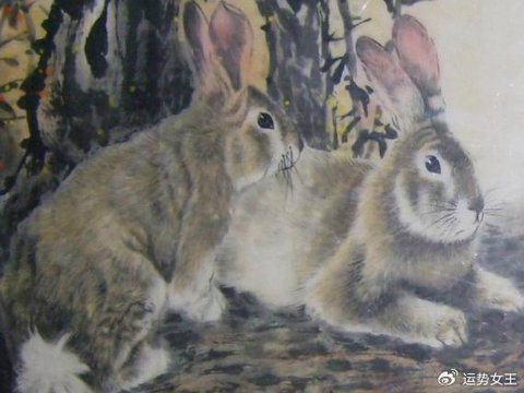 今年不浪费一天时间，生意做大，赚钱不停，好事多多的生肖