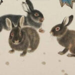 一次又一次取得成功，马年不走下坡路的4种生肖，收入有增无减