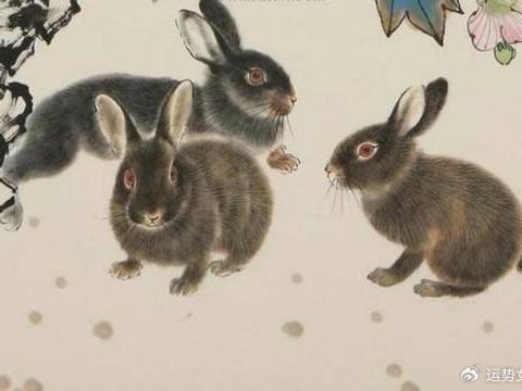 一次又一次取得成功，马年不走下坡路的4种生肖，收入有增无减