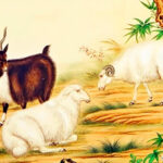 懂得赚钱之道，更珍惜亲情友谊，第二季度事业成功不缺钱的生肖