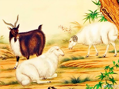 懂得赚钱之道，更珍惜亲情友谊，第二季度事业成功不缺钱的生肖